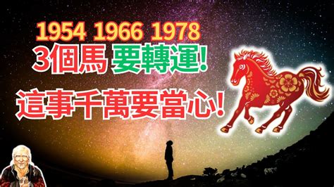 1978 屬|1978年屬馬是什麼命，1978年出生人的命運